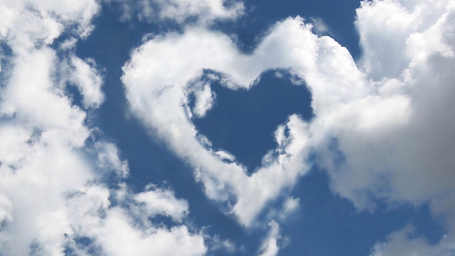 开云:乒乓球台颜色有几种